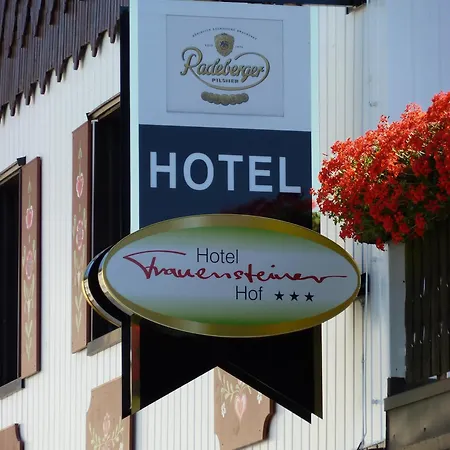 Отель Frauensteiner Hof 3*