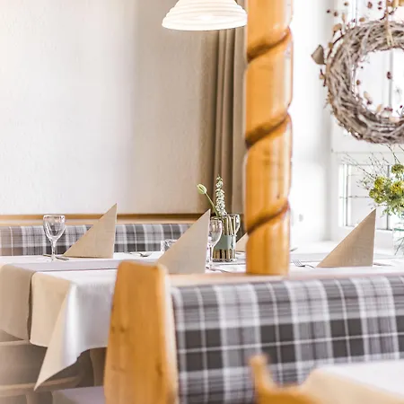 Hotel Frauensteiner Hof Frauenstein (Saxony)