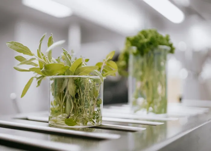 Hotel Frauensteiner Hof