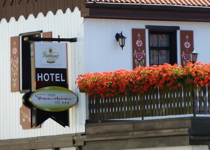 Hotel Frauensteiner Hof 3*