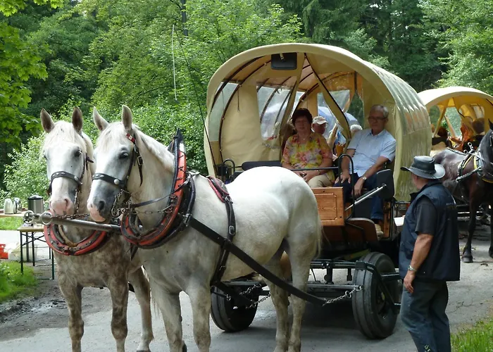 Hotel Frauensteiner Hof